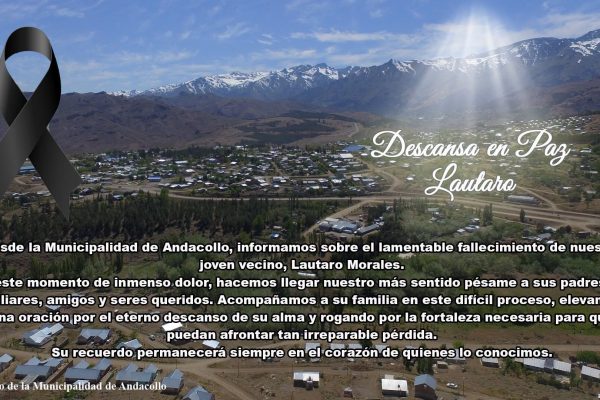Tragedia en Neuquén: un joven perdió el control del vehículo, cayó 50 metros por un barranco y murió