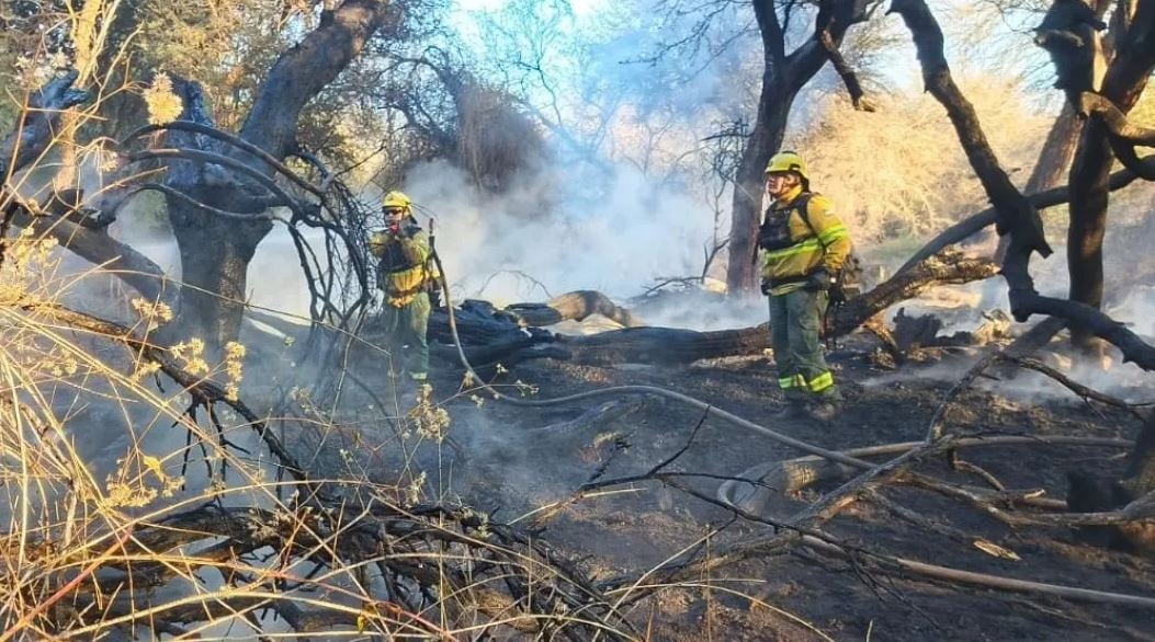 El municipio de Cafayate prohibió los loteos en las zonas afectadas por los incendios forestales que consumieron más de 200 hectáreas de bosque nativo.