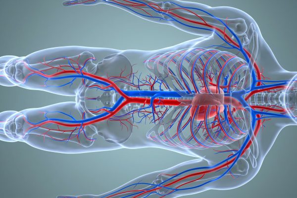 Un experimento de laboratorio alertó sobre cómo el estrés modifica la sangre en cuestión de minutos