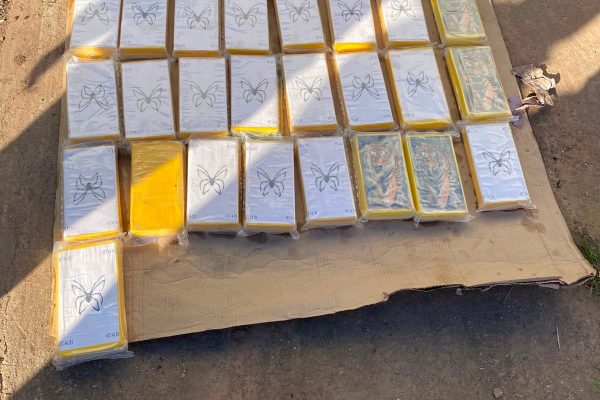 Una médica de Gendarmería y una cosmetóloga atrapadas con cocaína: el misterio de “Xuxa” y el cocodrilo