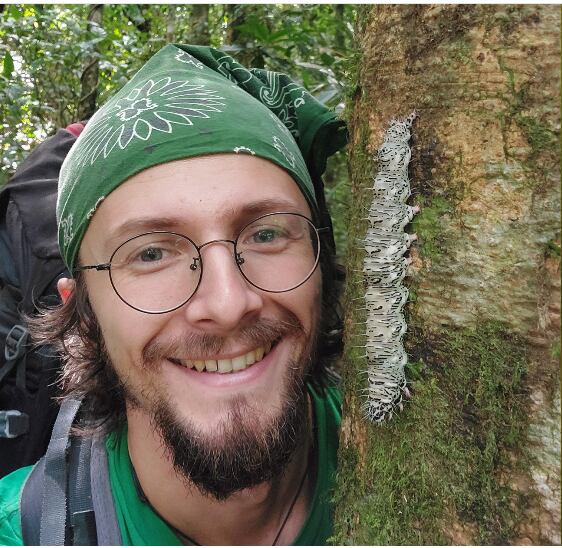 Una tecnología instalada en Panamá podría cambiar el monitoreo mundial de los insectos