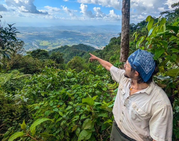 Hubert Szczygieł observa el océano Pacífico desde la cima del Parque Nacional Cerro Hoya, uno de los bosques montanos más aislados de Panamá, donde un equipo internacional puso a prueba una tecnología para automatizar el monitoreo de insectos. Crédito: Andrew Quitmeyer.