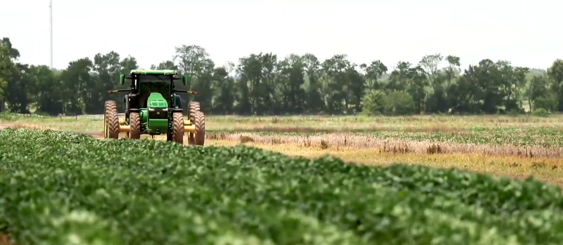 El desarrollo de la bioeconomía sustentable requiere información precisa y políticas basadas en evidencia para reducir la huella de carbono
(@CBS Evening News)