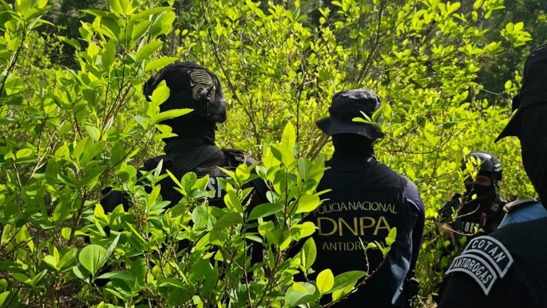 La DNPA reportó 432 kilogramos de cocaína decomisados durante el primer trimestre del año. (FOTO: Policía Nacional)