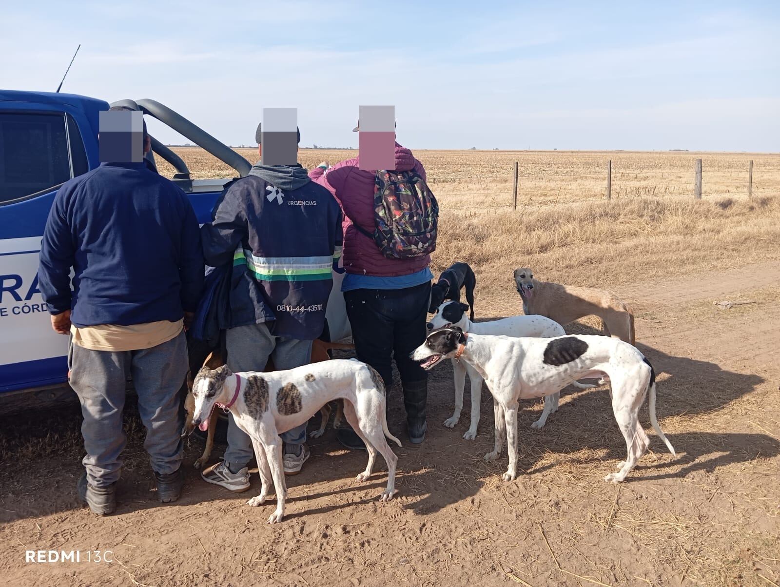 Detuvieron a cuatro hombres por caza ilegal en Córdoba: les encontraron armas, animales silvestres y perros