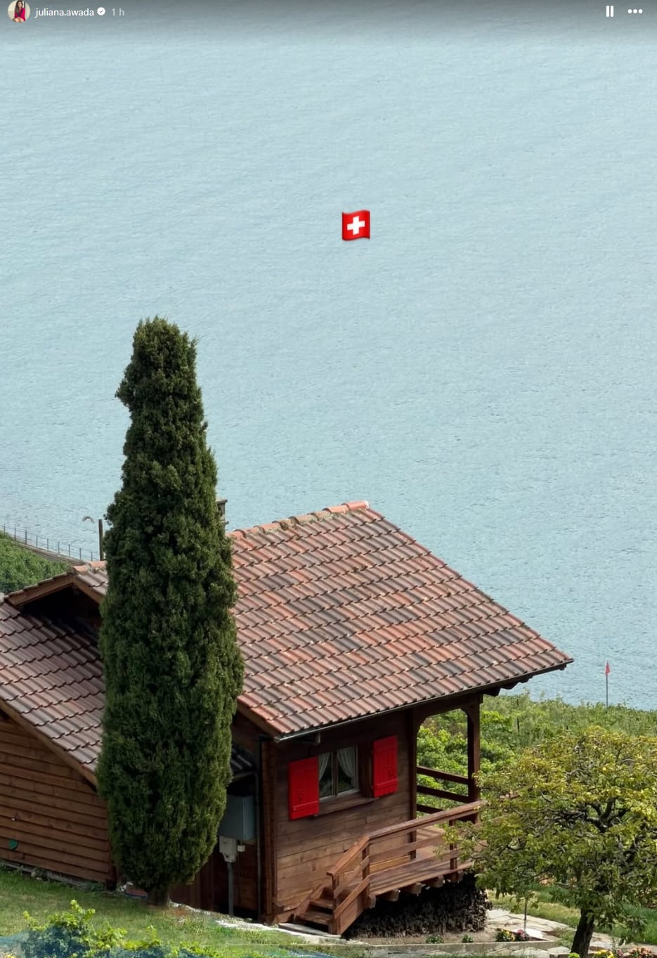 Una de las postales de Suiza que la ex primera dama subió en sus redes sociales 