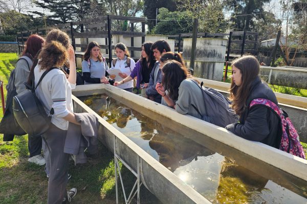 El innovador método con peces para frenar el dengue que desarrolló un equipo de la UBA