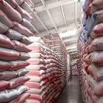 Honduras refuerza reservas de frijol y prepara más producción ante riesgo de desabastecimiento
