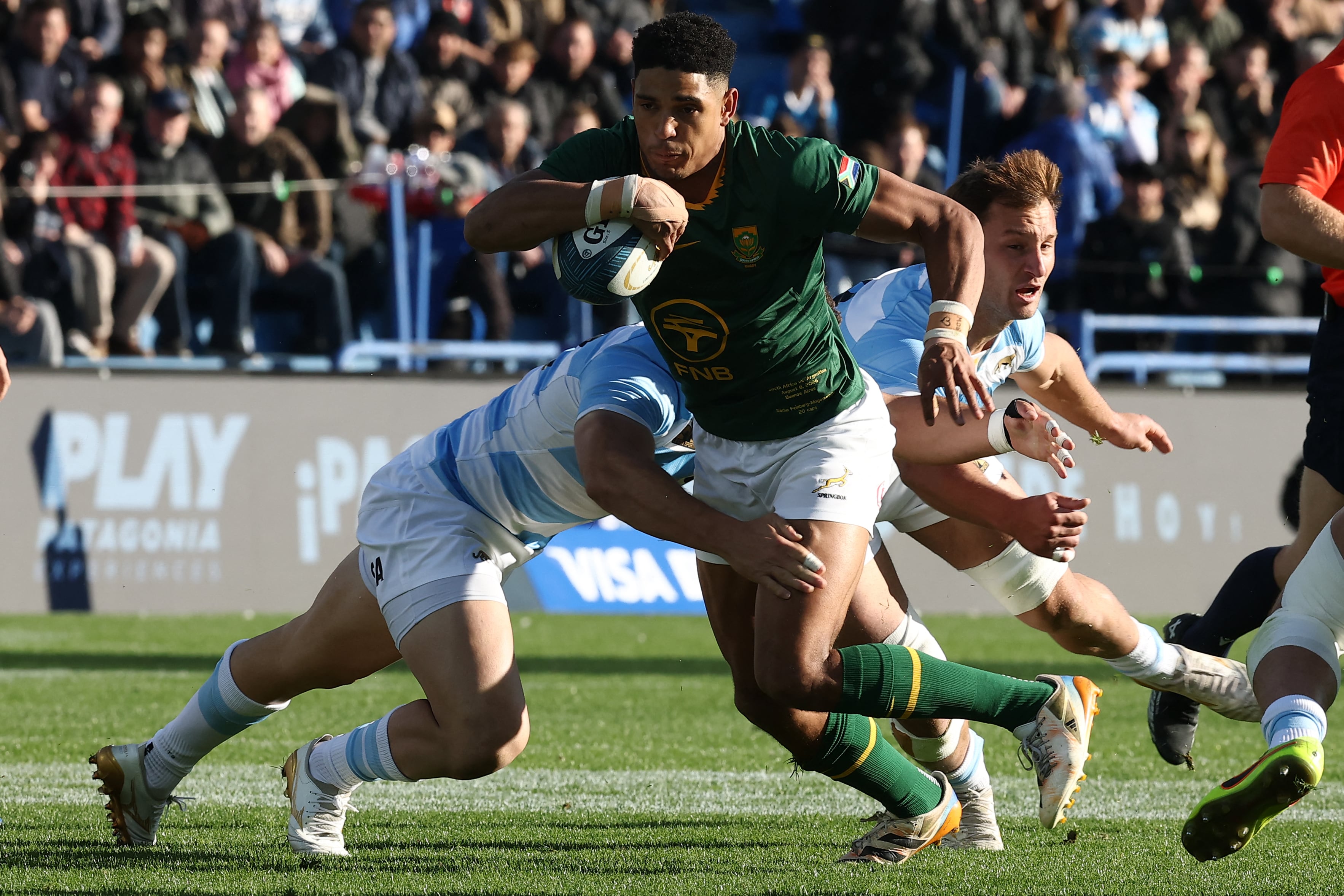 Los Springboks son los actuales bicampeones del mundo (Créditos: Alejandro PAGNI/AFP)