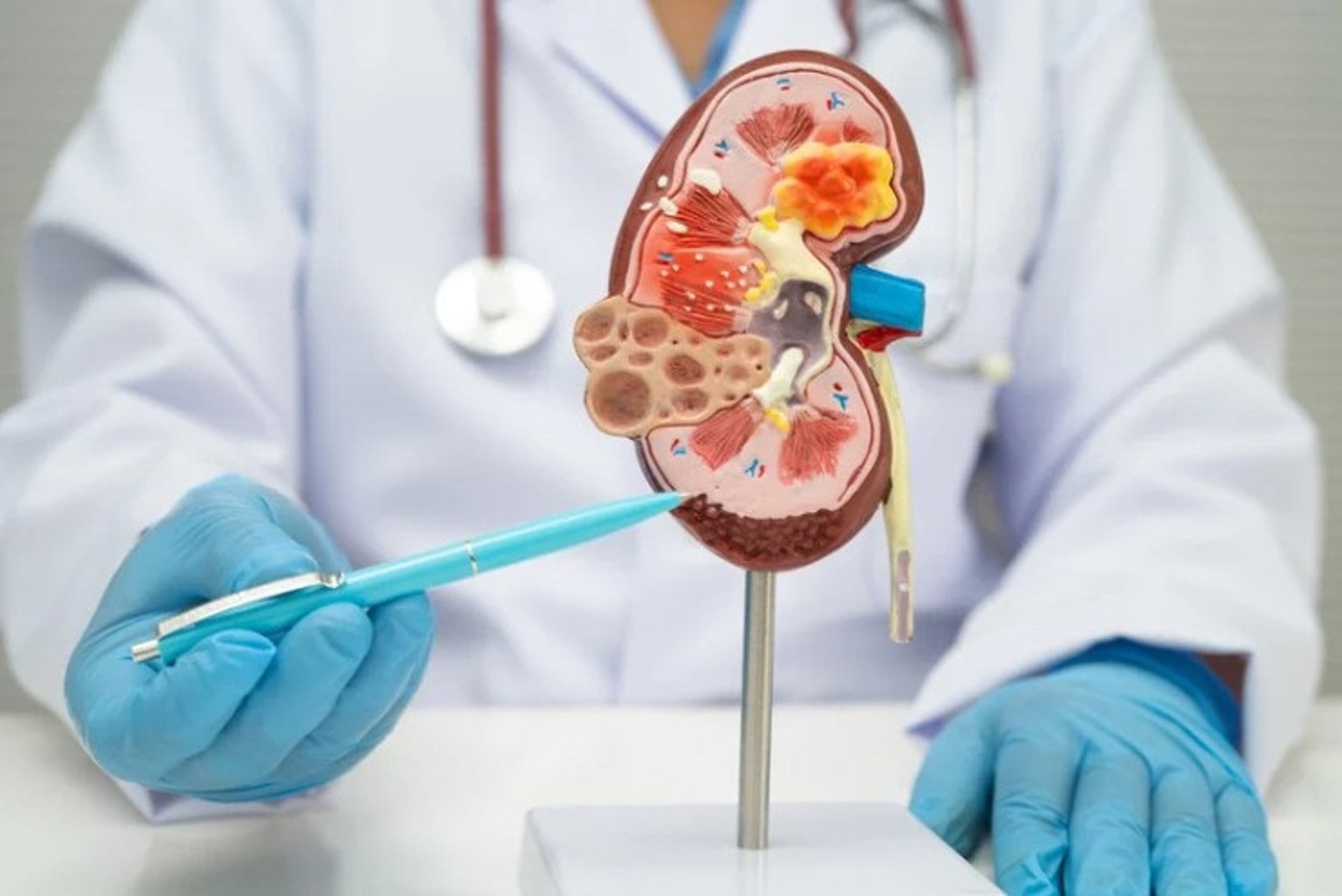 El patrón alimentario repetido impacta a largo plazo en el funcionamiento de órganos como el corazón, el riñón y el cerebro (Europa Press)