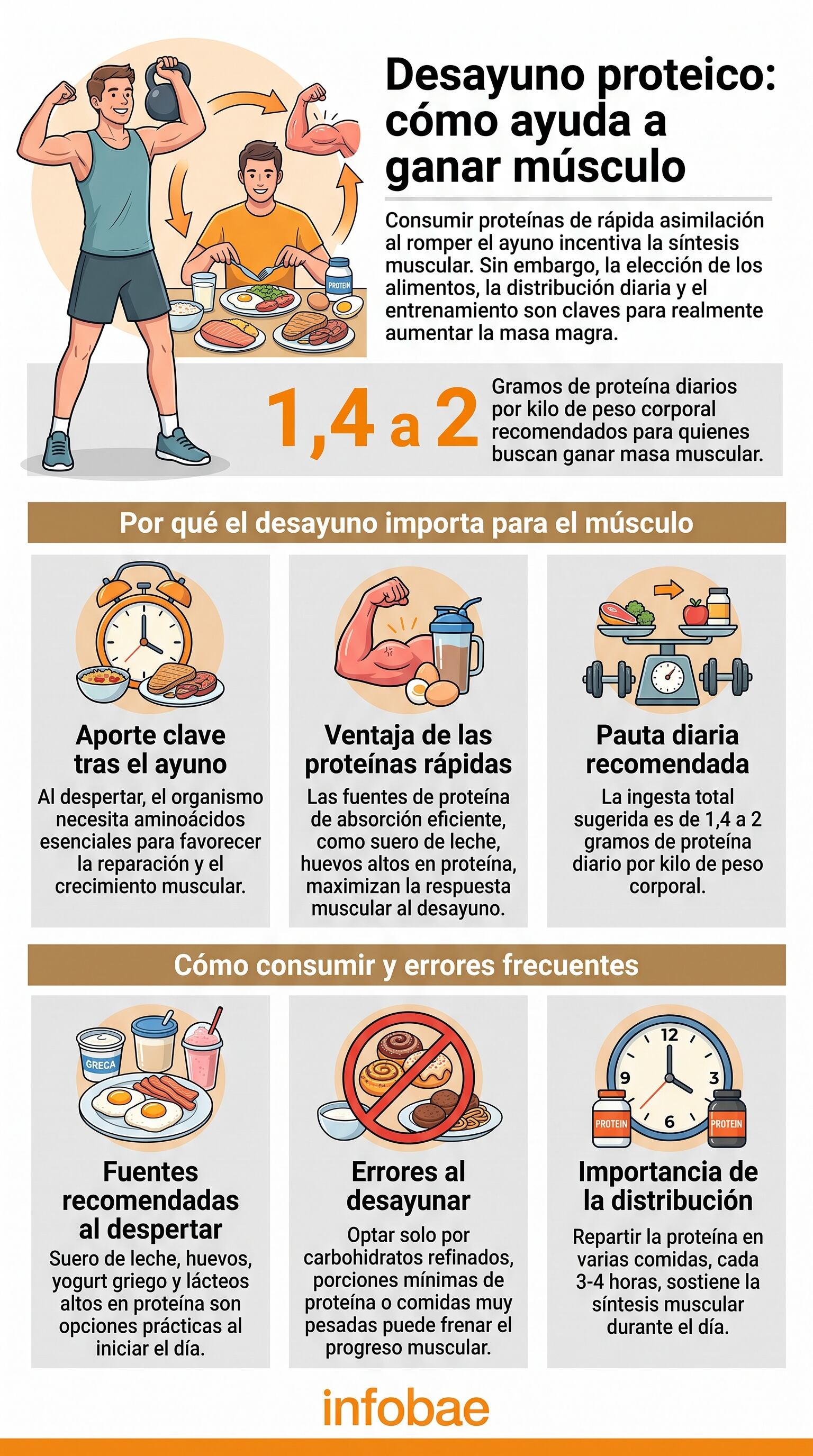 La ganancia de masa muscular suele beneficiarse con una ingesta diaria de 1,4 a 2 gramos de proteína por kilo de peso corporal en personas físicamente activas (Imagen Ilustrativa Infobae)