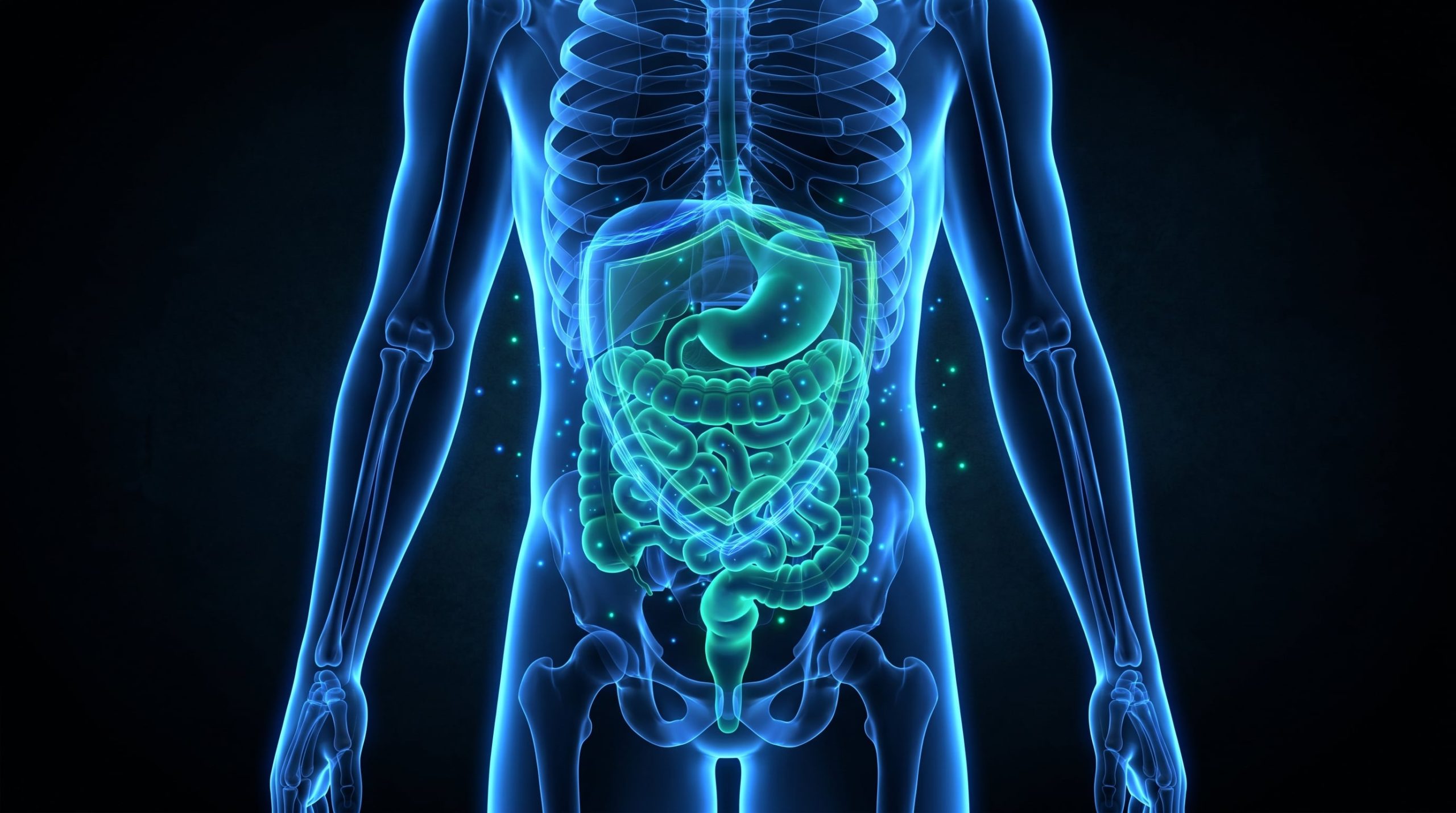 Reseteo intestinal: el doctor Facundo Pereyra detalló cómo puede ayudar a la salud digestiva