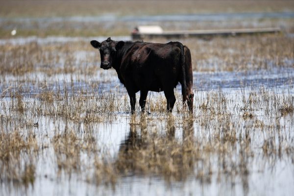 Sequías, inundaciones y desigualdad territorial: los desafíos que enfrenta la gestión del agua en la Argentina
