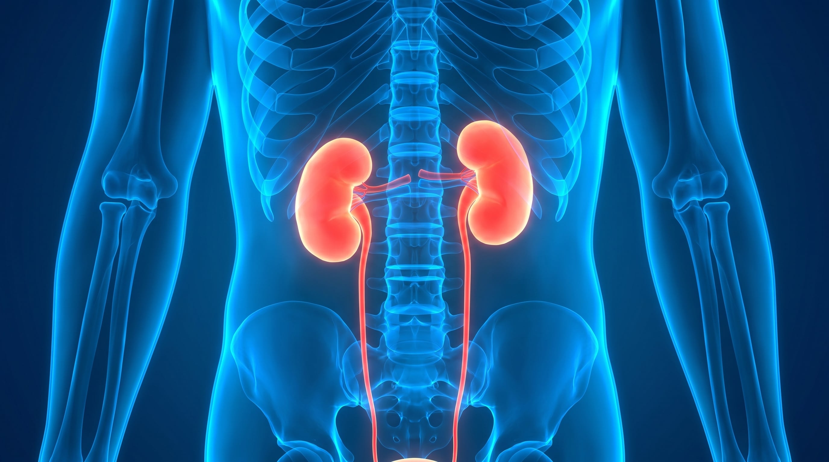 El SUH representa una de las principales causas de insuficiencia renal aguda en niños pequeños (Imagen Ilustrativa Infobae)