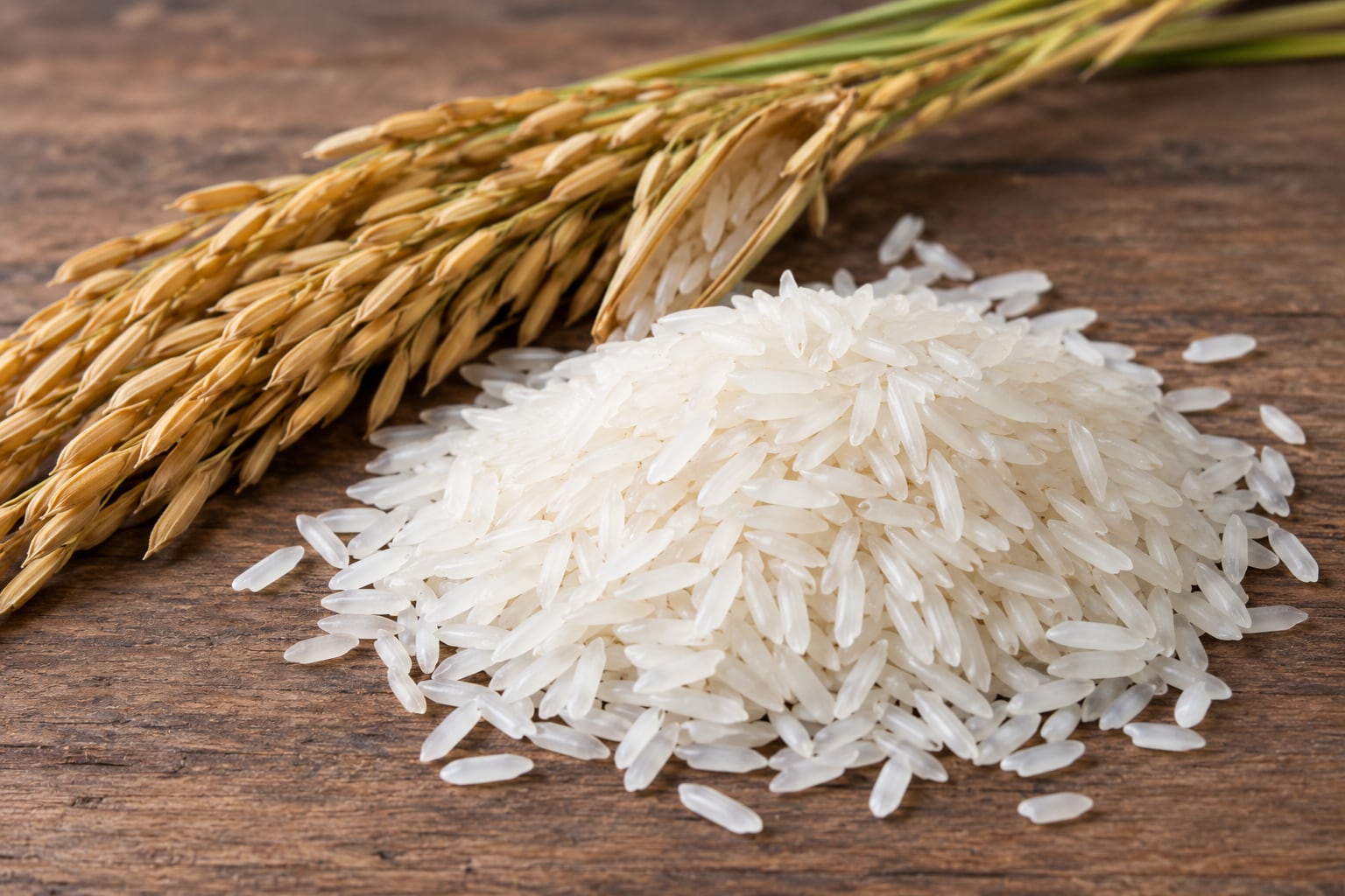 La sequía también ha generado menor disponibilidad de agua y alimento, muerte de reses y distribución de pacas de arroz en el Noroeste del país. /(Imagen Ilustrativa Infobae)