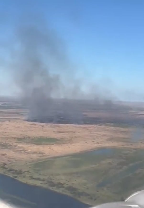 Alertan por el impacto ambiental de los incendios en las islas del Delta que arrasaron con más de 1.700 hectáreas