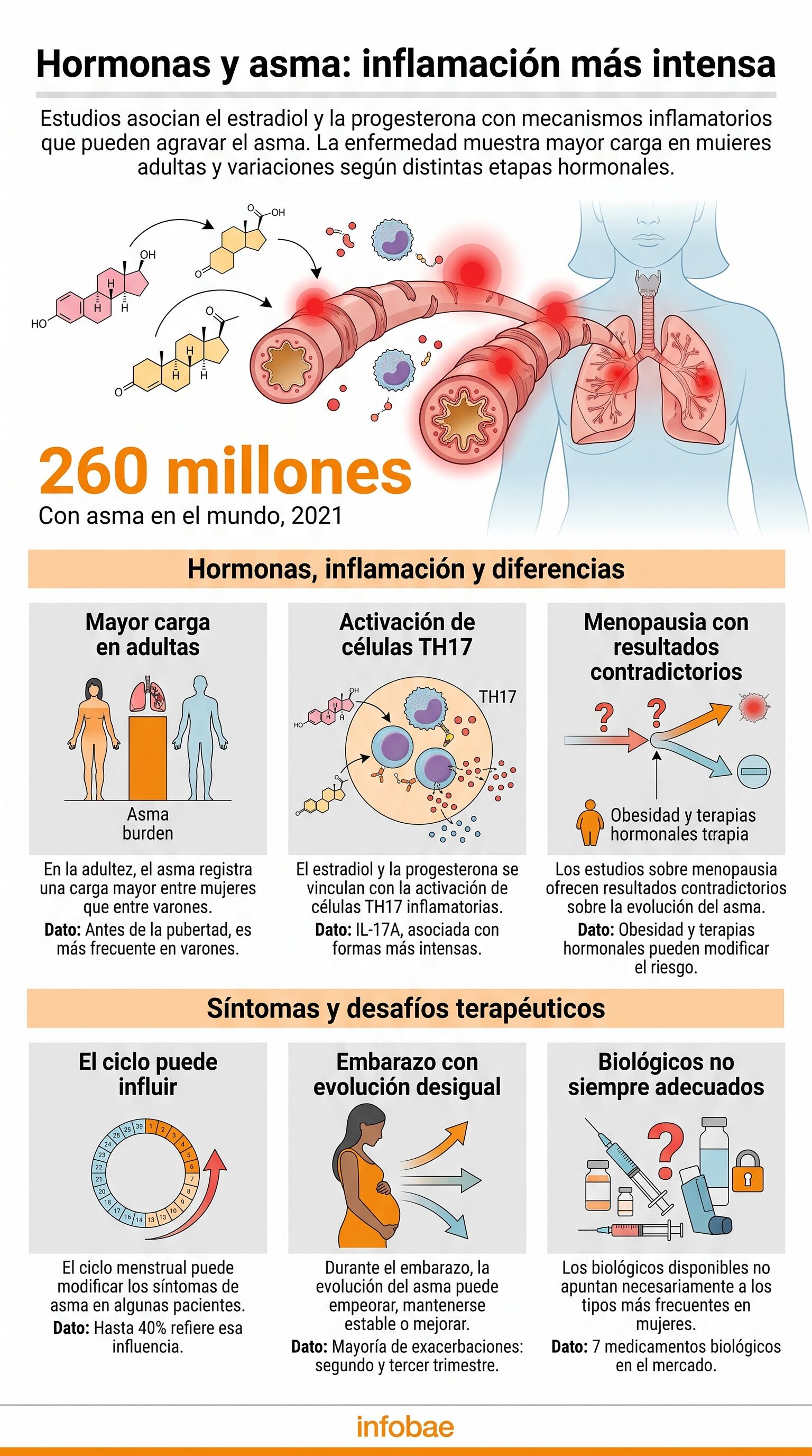 Las mujeres con asma presentan más crisis e internaciones, en un patrón que atraviesa la menstruación, el embarazo y la menopausia (Imagen Ilustrativa Infobae)
