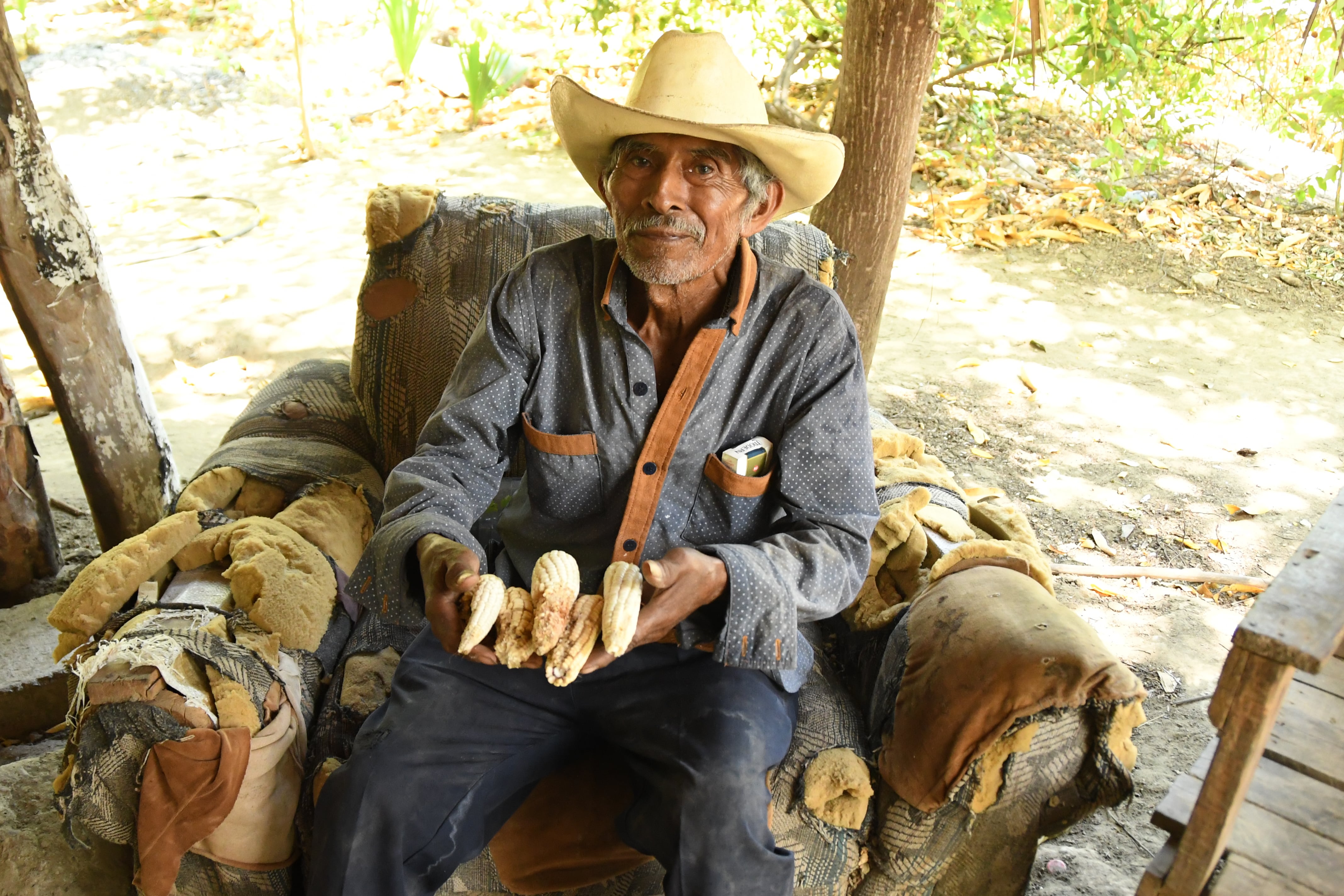 La sequía amenaza las actividades agrícolas y los medios de subsistencia de los hogares rurales de la Región Trifinio. (EFE/ Alex Cruz)