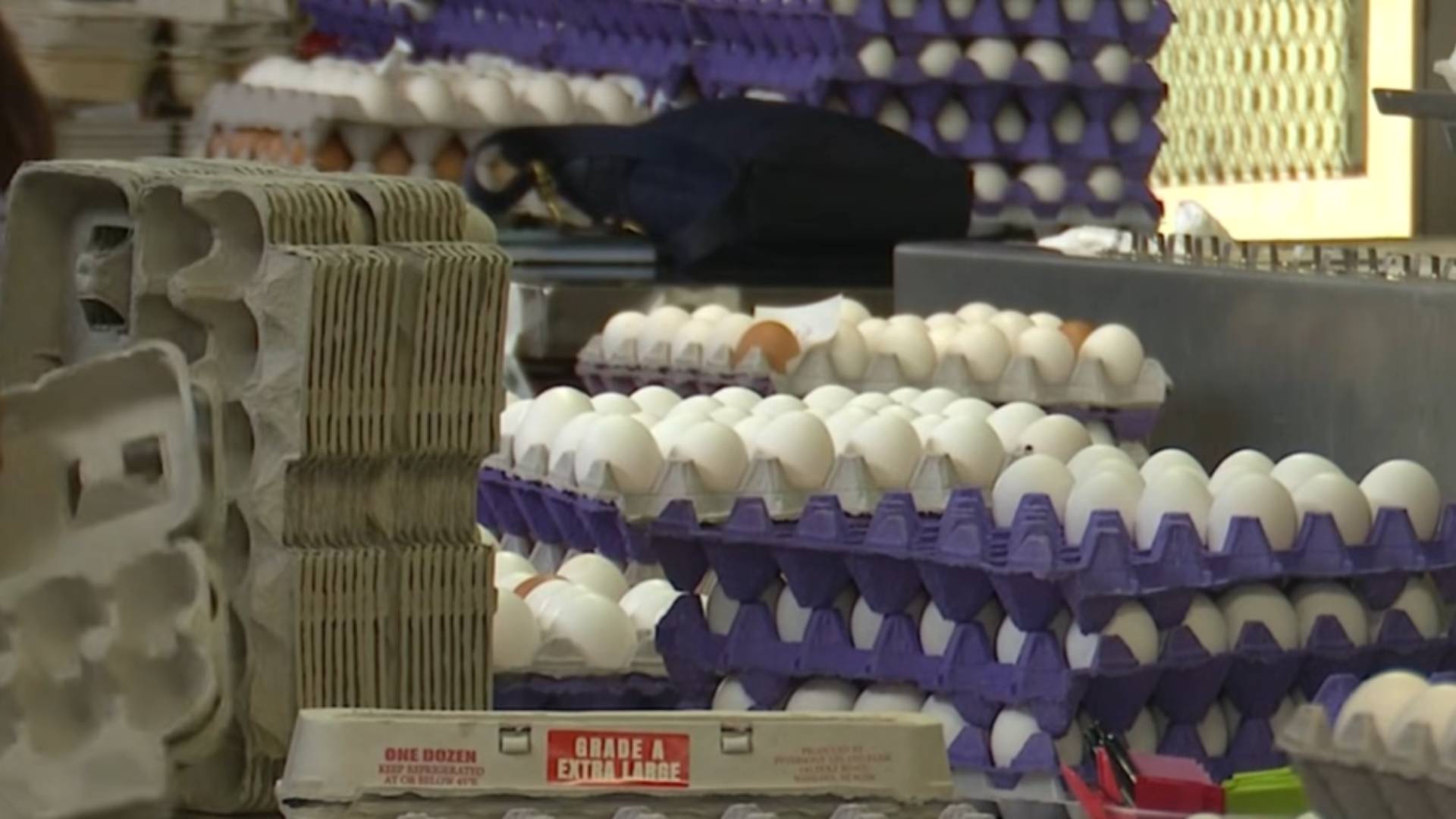 Durante 2025, unos 73 millones de kilos de alimentos quedaron fuera del circuito de consumo en la Argentina, con pérdidas estimadas en $370.520 millones