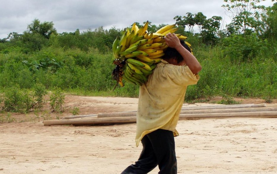Las dos comunidades de la Amazonia boliviana que sorprenden a los científicos por su baja prevalencia de demencia y su salud cardiovascular