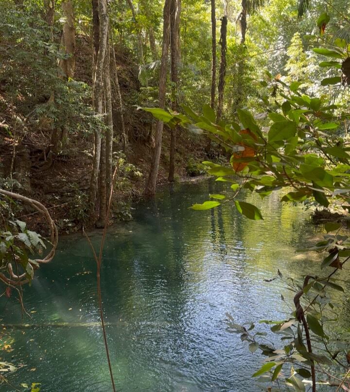 Gran parte de las publicaciones que hicieron estuvieron dedicadas al paisaje