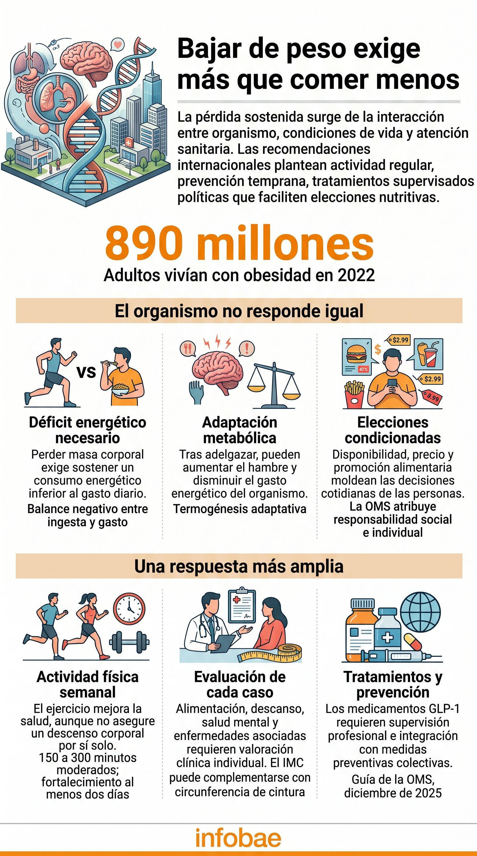 La regulación del peso corporal combina factores biológicos, genéticos, conductuales y ambientales. (Imagen Ilustrativa Infobae)