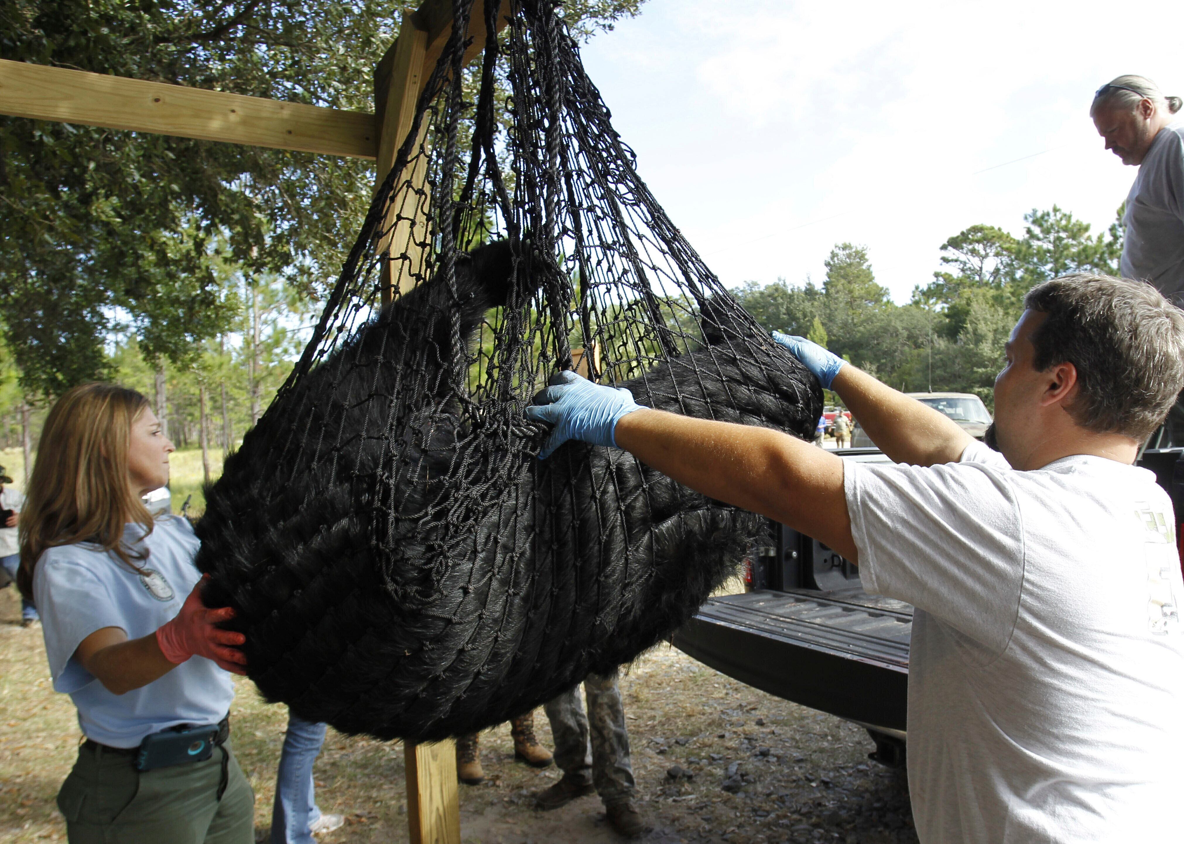 La nueva cifra supera la del año pasado, cuando la cuota oficial fue más alta que el resultado final de la temporada (Luis Santana/Tampa Bay Times vía AP, archivo)