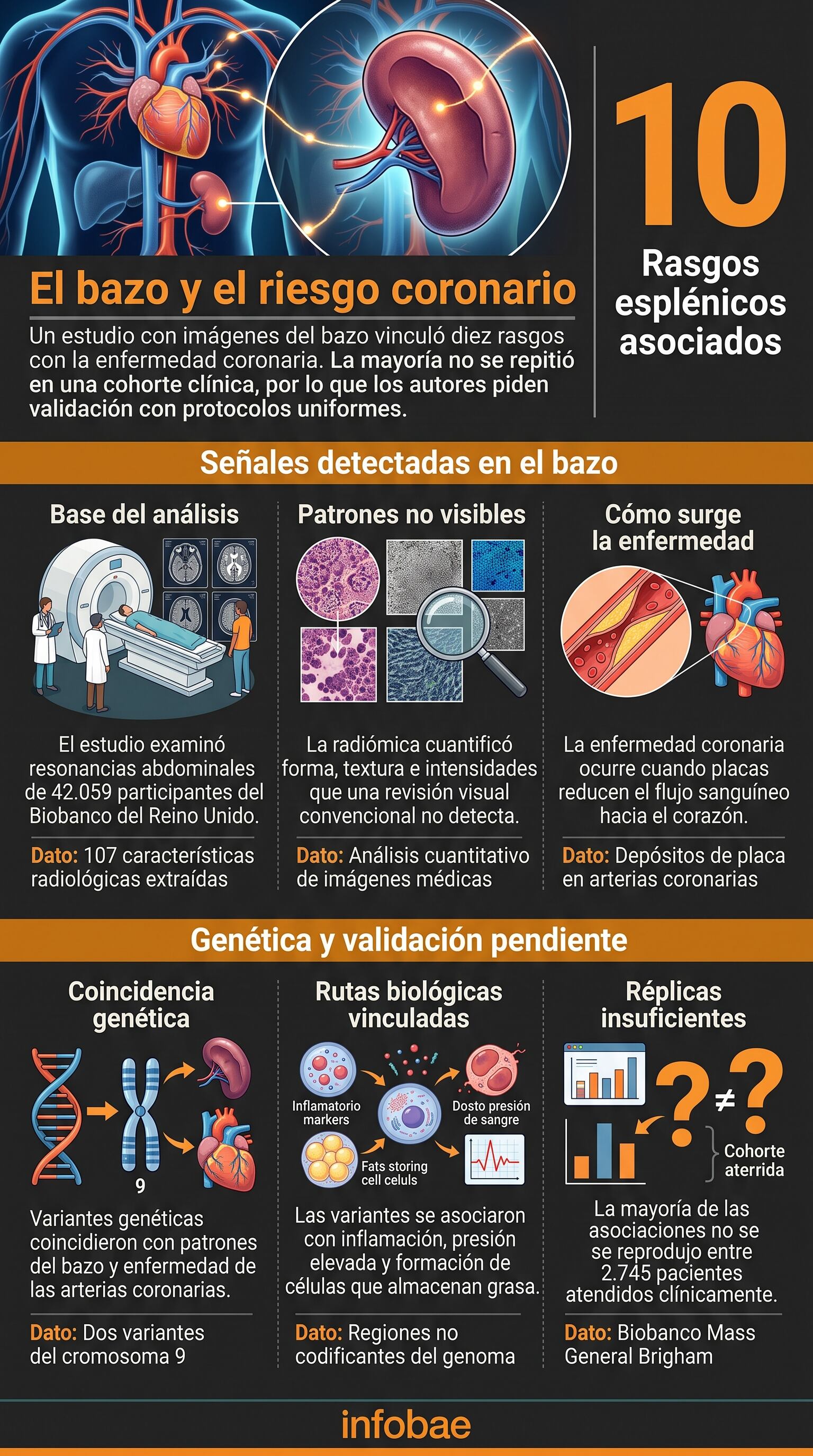 La investigación combina inteligencia artificial, datos clínicos y análisis genéticos (Imagen Ilustrativa Infobae)