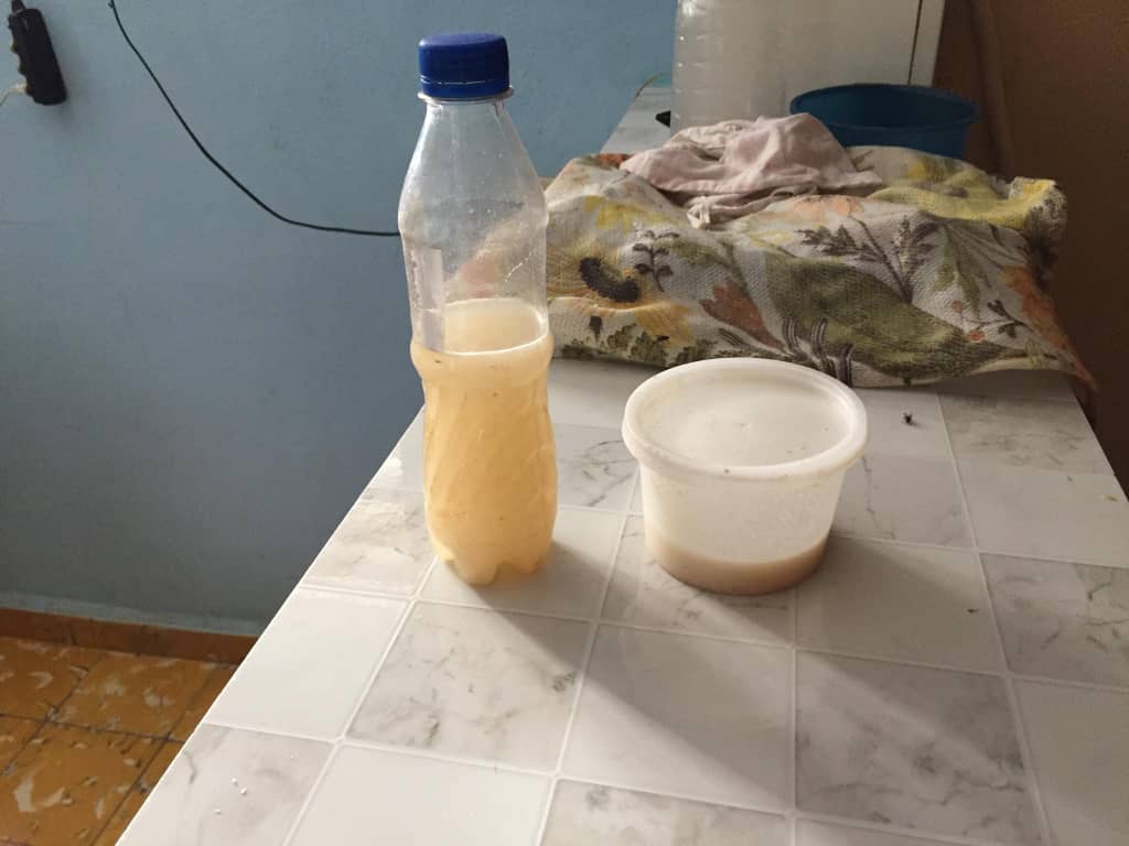 Veintiún gusanos en un plato, 21 calorías al día y nueve huelgas de hambre: la crisis que devora a los presos políticos cubanos