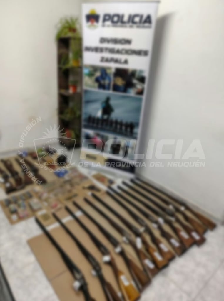 Allanaron una estancia en Neuquén y secuestraron 17 armas, miles de municiones y trofeos de fauna sin documentación