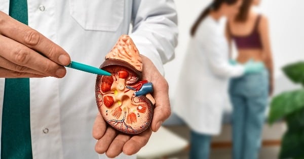 Un estudio en JAMA Network Open asoció el consumo previo de antiinflamatorios con la lesión renal aguda en pacientes con rabdomiólisis (Infobae / Difusión)