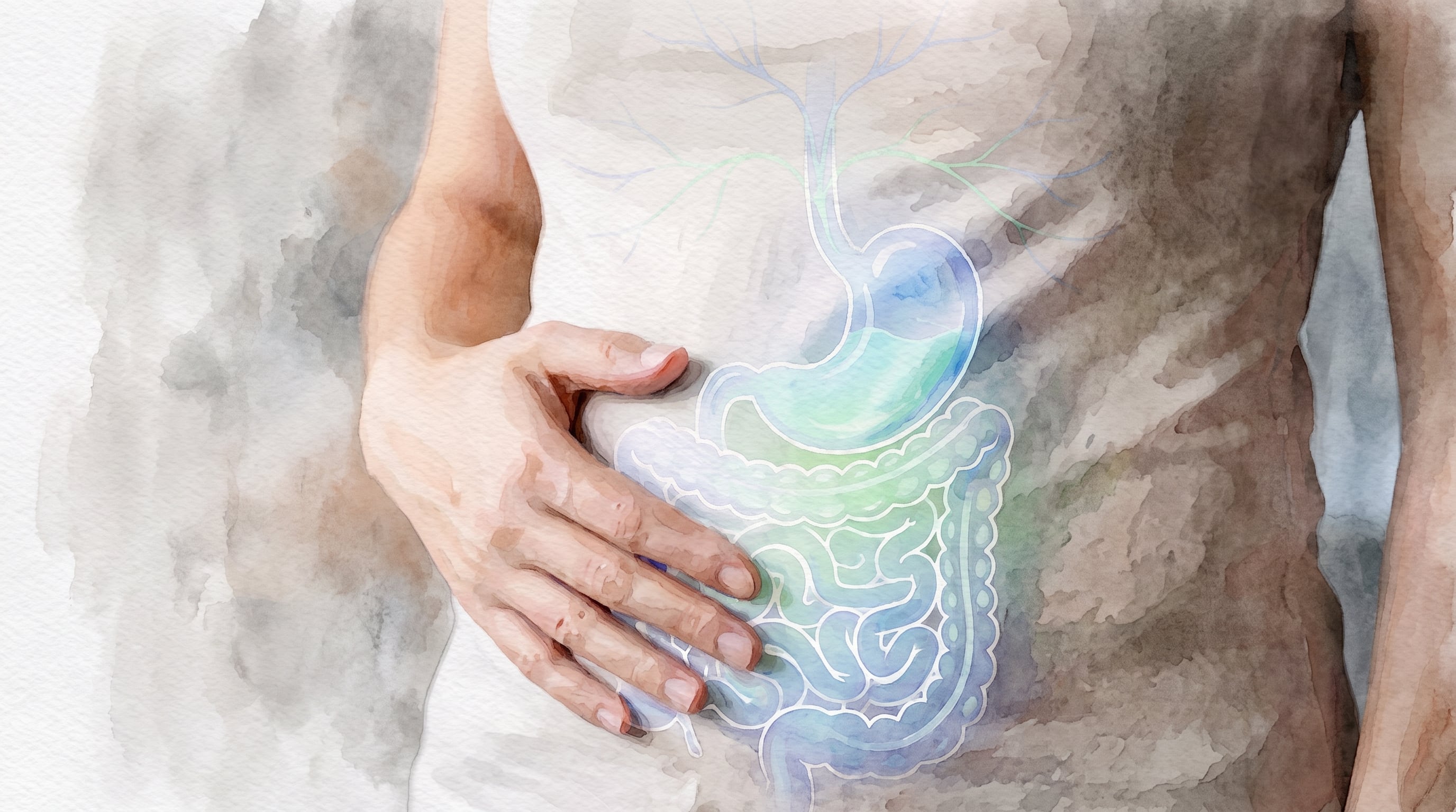 El eje intestino-piel aprovecha los alimentos fermentados para favorecer la liberación de compuestos antioxidantes (Imagen Ilustrativa Infobae)