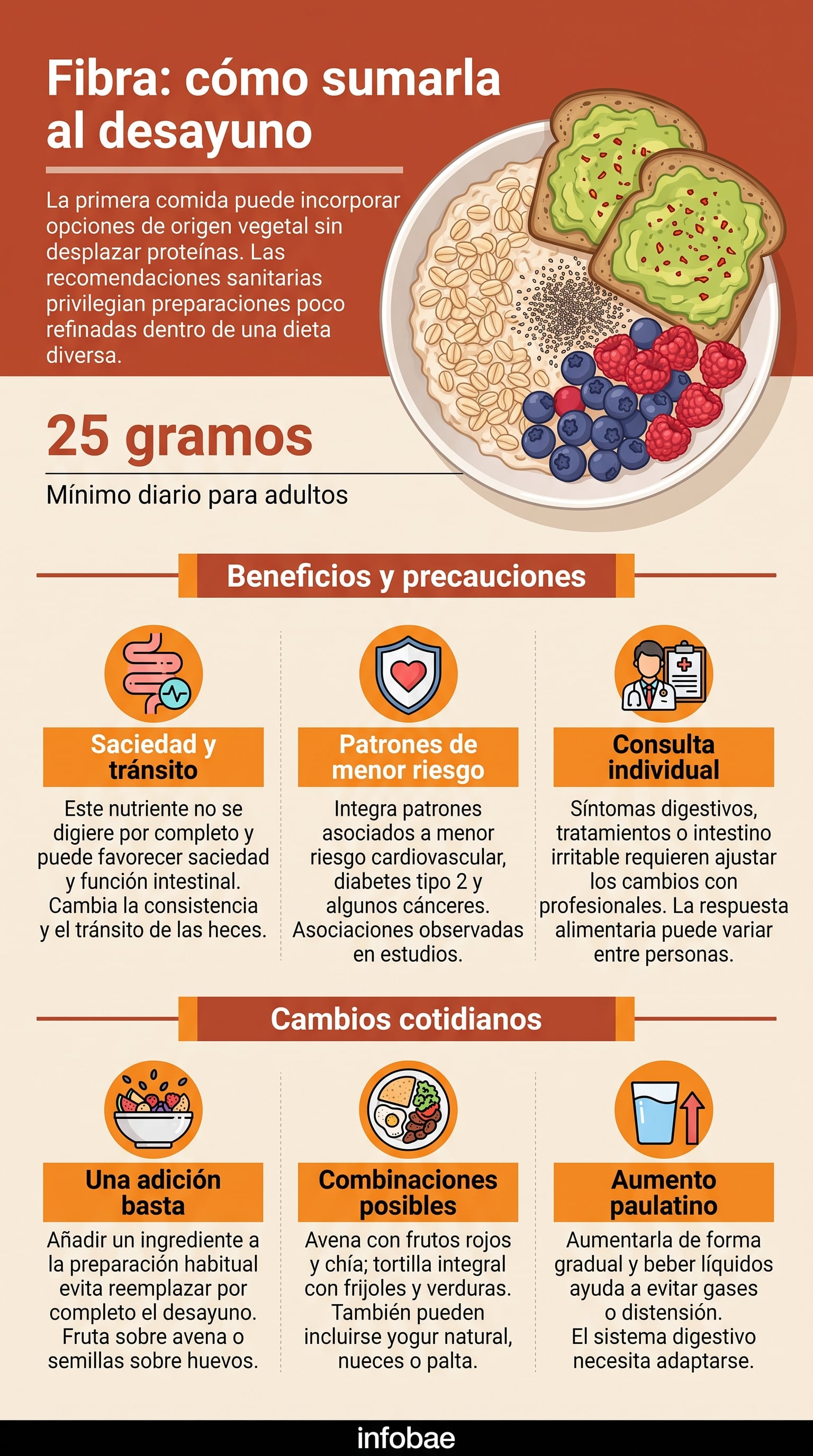 La Organización Mundial de la Salud recomienda consumir al menos 25 gramos diarios de fibra natural. (Imagen Ilustrativa Infobae)