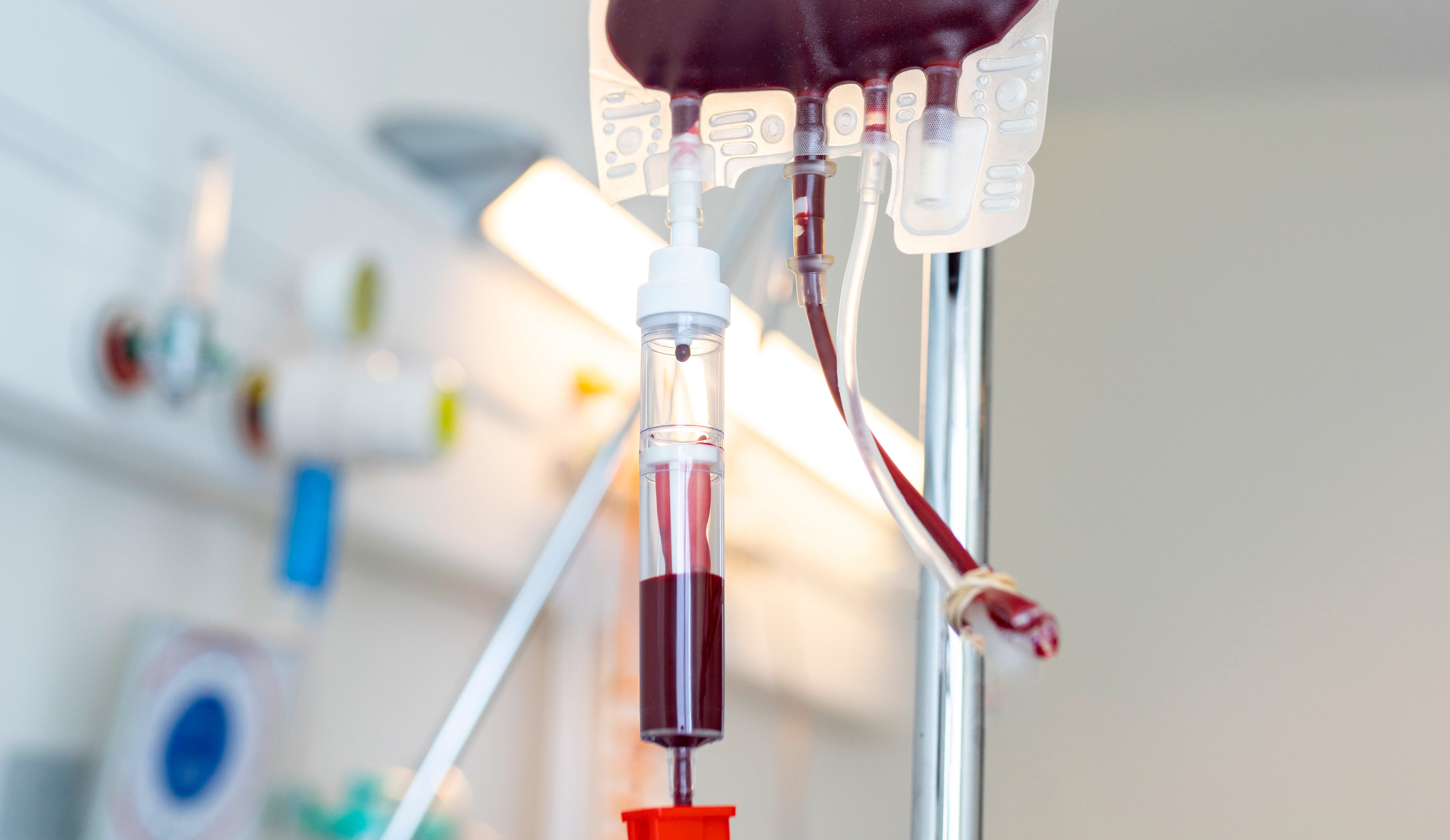 Rocío Jiménez tenía siete años cuando recibió una transfusión de sangre durante su tratamiento contra la leucemia que posteriormente fue vinculada con su infección por VIH, un hecho que marcó su salud y su vida desde la infancia. Archivo