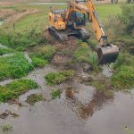 El Niño: se espera un repunte del Paraná en los próximos días por las lluvias en la cuenca alta
