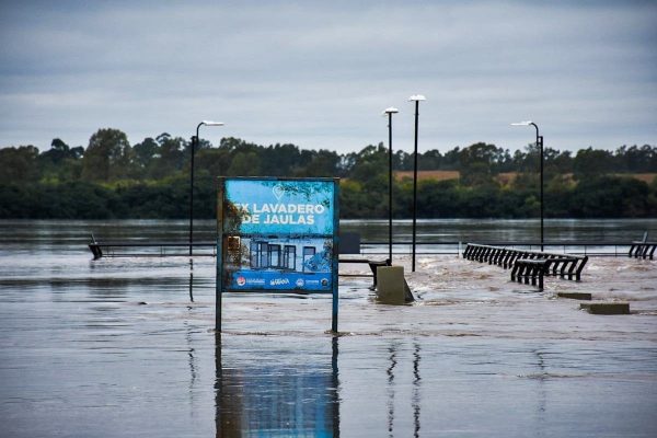 El río Uruguay sigue creciendo y aumenta la preocupación en Corrientes y Entre Ríos: se espera un pico para los próximos 10 días