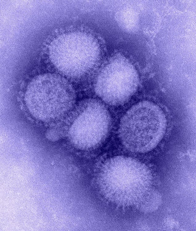 El mapa epidemiológico de este año rompió con décadas de patrones conocidos y obligó a los expertos a buscar explicaciones en la propia biología del virus (CDC)
