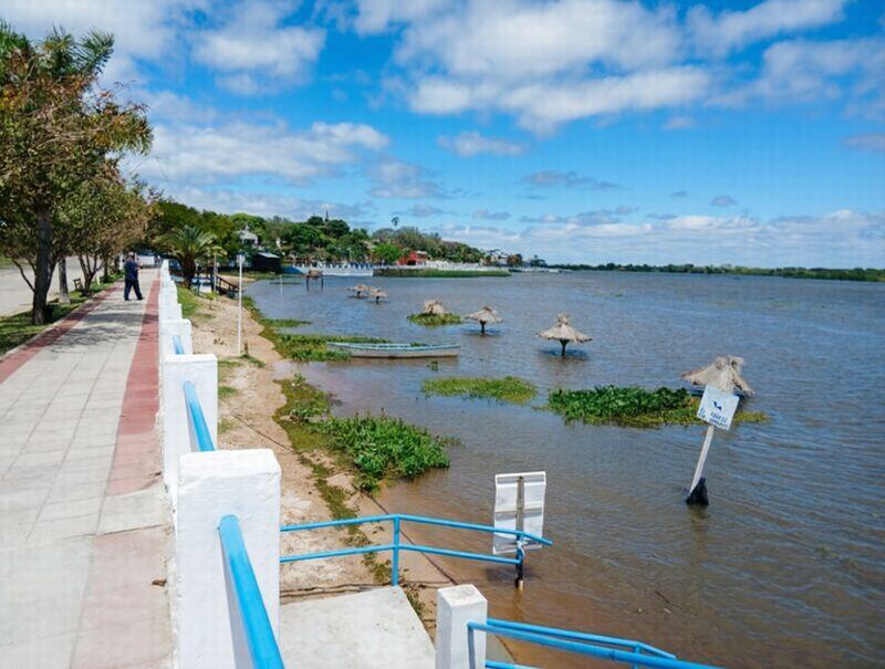 La crecida del Paraná complicó los accesos en Misiones y puso en riesgo al ganado en Corrientes: “Hay productores que están con el agua encima”