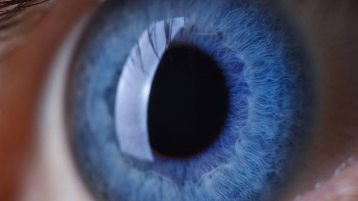 Lente Experimental para Cataratas Puede Tratar el Glaucoma con Medicamentos de Liberación Prolongada