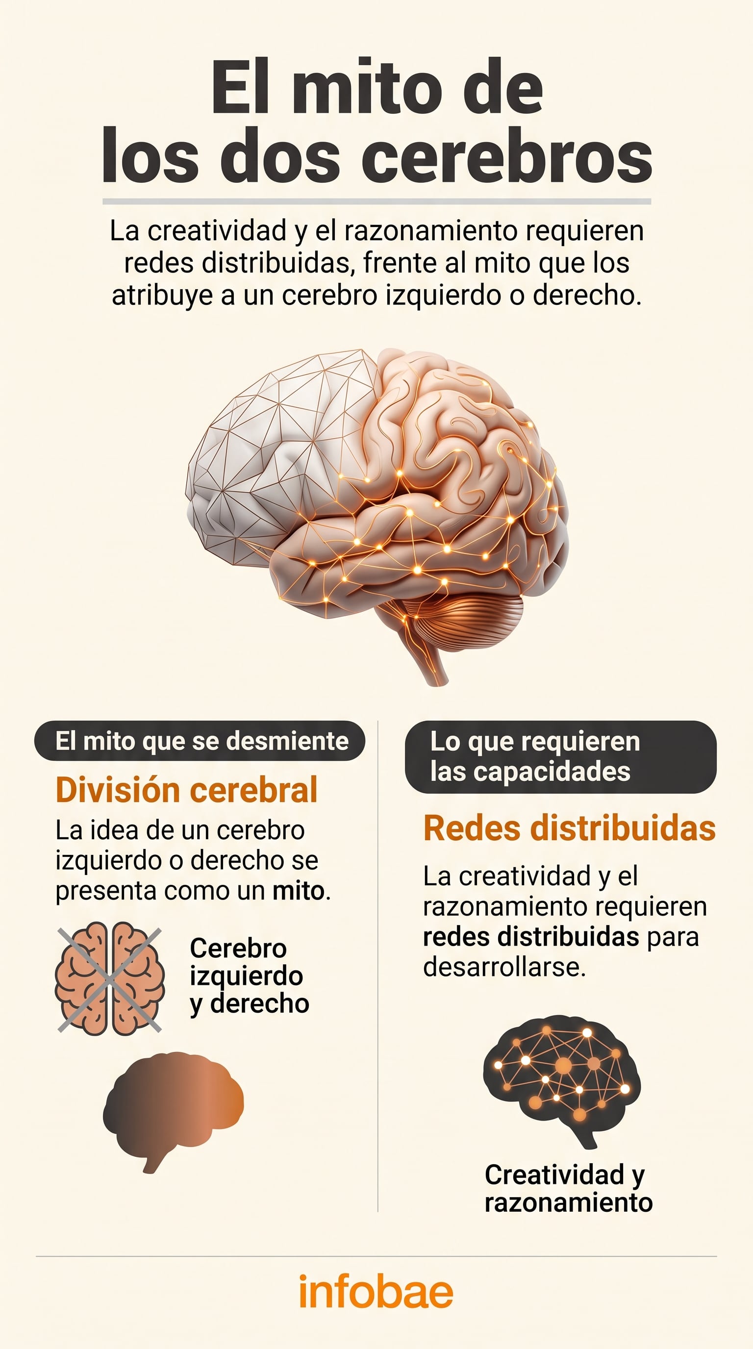 Un estudio de la Universidad de Utah en 1.011 personas no encontró evidencia de una red cerebral dominante en ningún lado (Imagen Ilustrativa Infobae)
