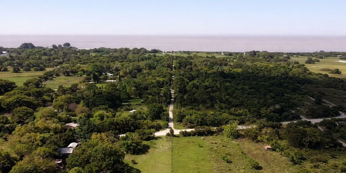 La reserva alberga una biodiversidad única, con más de 200 especies de aves y animales autóctonos y en peligro de extinción (Captura/YouTube)