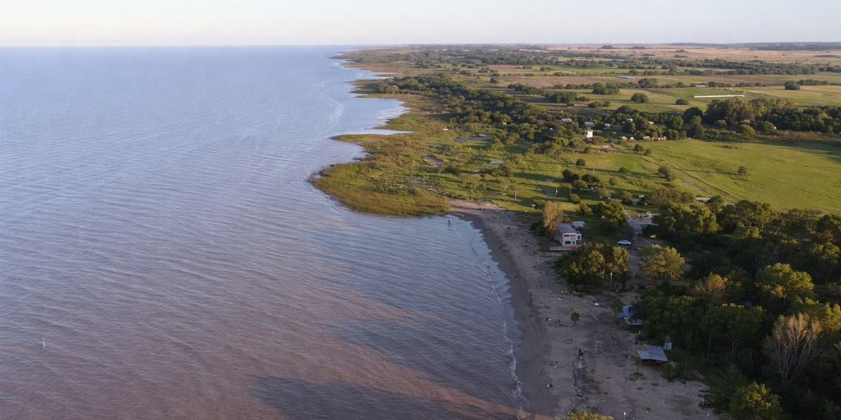 El Parque Costero del Sur abarca 25.000 hectáreas sobre la ribera del Río de la Plata en los partidos de Magdalena y Punta Indio (Captura/YouTube)
