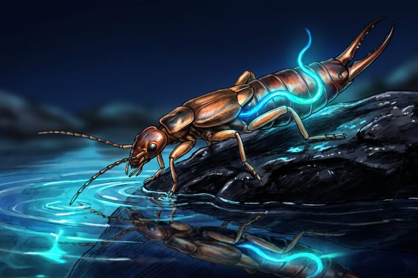 Un estudio identificó el mecanismo genético que usaría un gusano parásito para controlar la mente de los insectos