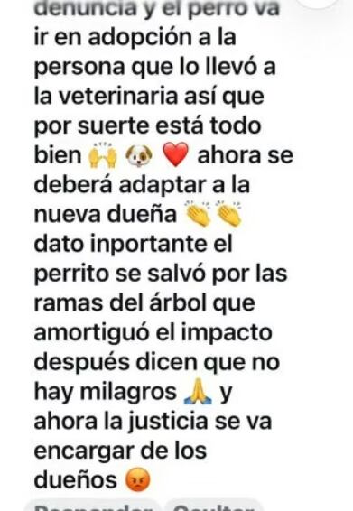 La caniche cayó desde aproximadamente 15 metros de altura y las ramas de los árboles de la vereda amortiguaron el golpe antes de que llegara al asfalto
